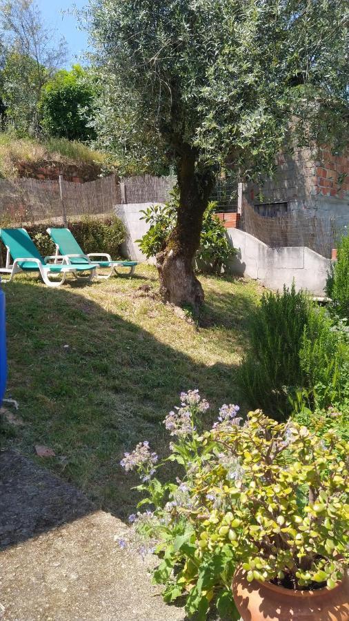ミランダ・ド・コルヴォ Casa Da Casimiraヴィラ エクステリア 写真