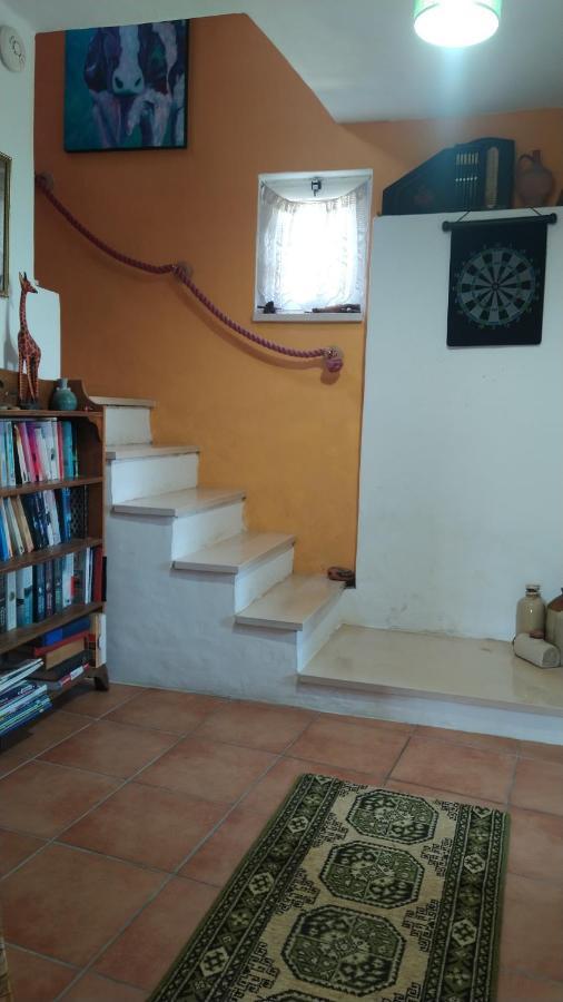 ミランダ・ド・コルヴォ Casa Da Casimiraヴィラ エクステリア 写真